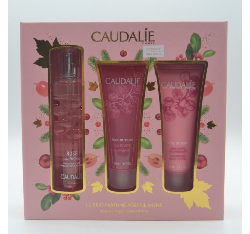 CAUDALIE BOMBONERA THE DES VIGNES 100 ML Perfumes